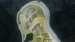 Another crazy skin