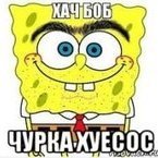 nebexter