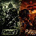 Wasteland_Project